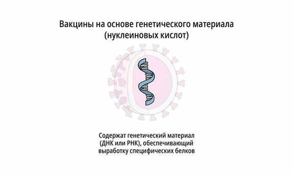 Вакцины на основе генетического материала