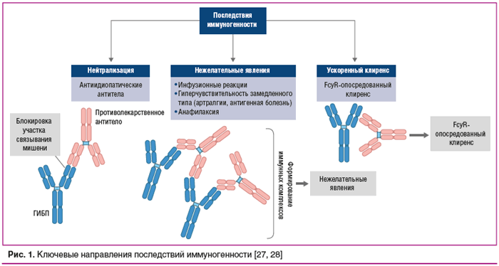Рис. 1. Ключевые направления последствий иммуногенности [27, 28]