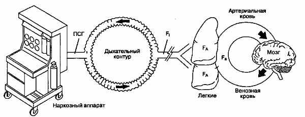 Современные ингаляционные анестетики