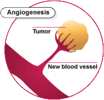 Ингибиторы ангиогенеза