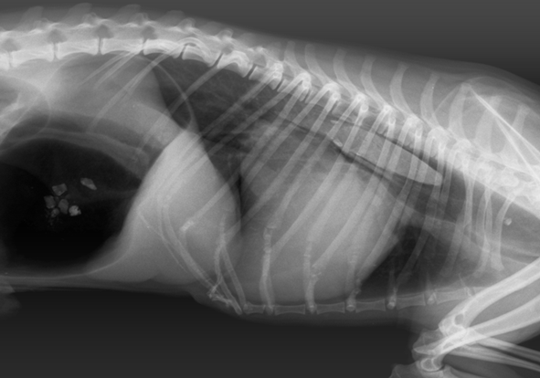 рисунок 1-1.png