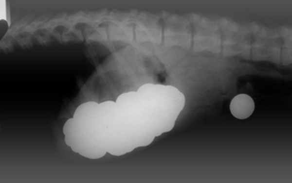 рисунок 111.jpg