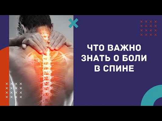 Что важно знать о боли в спине