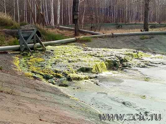 Влияние хрома на организм человека