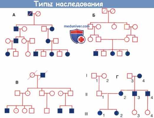 Типы наследования