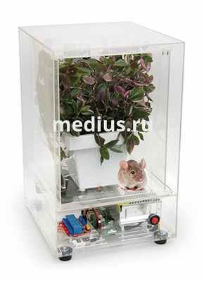 Компьютеризированный лабораторный комплекс, для форсированного (в течение одного урока) измерения характеристик дыхательного газообмена у растений и животных