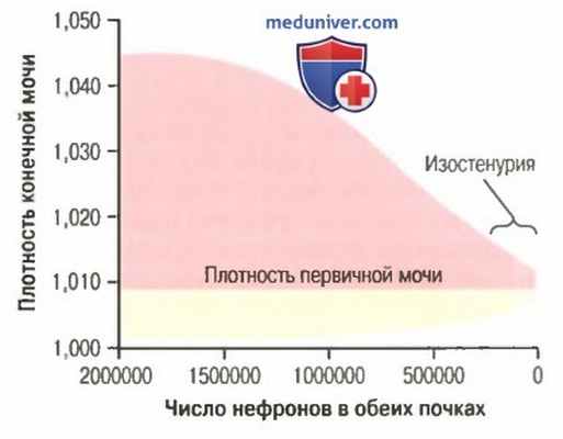 Изостенурия