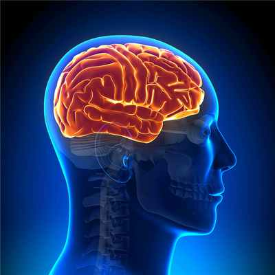 МРТ головного мозга