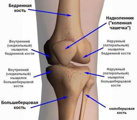 привычный вывих надколенника