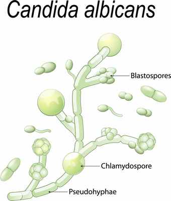 shutterstock_714362212 [преобразованный].jpg