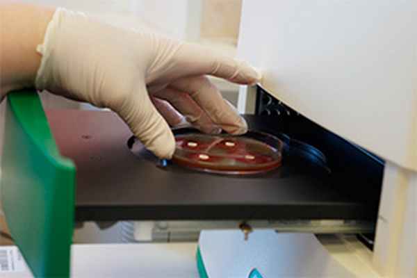 ÐÐ¾Ð»ÐµÐ·Ð½Ð°Ñ Ð¸Ð½ÑÐ¾ÑÐ¼Ð°ÑÐ¸Ñ