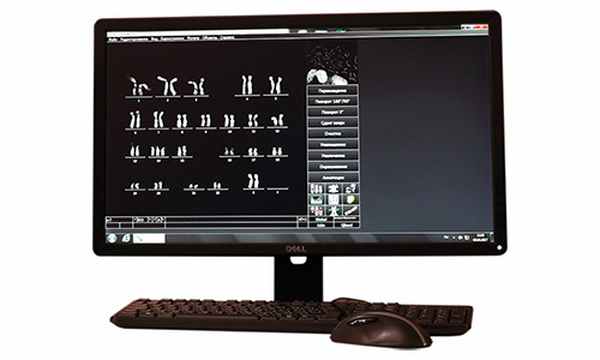 Кариотипирование