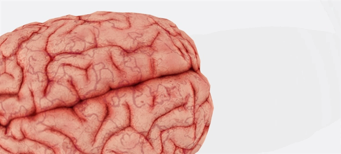 Гнойный менингит