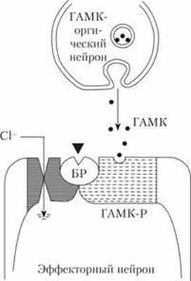 Предполагаемый молекулярный механизм действия бензодиазенинов