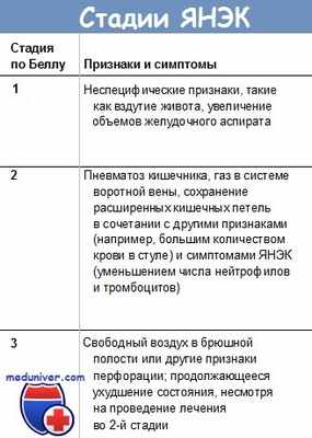 Стадии ЯНЭК