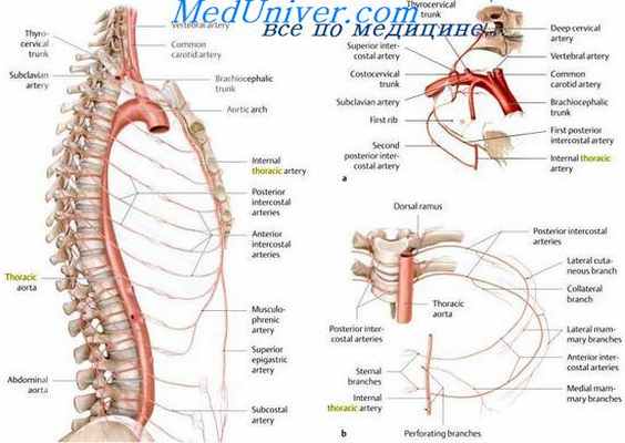 нарушение сердечного кровообращения