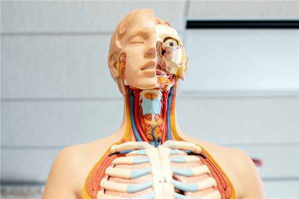 Фото: Nhia Moua/Unsplash