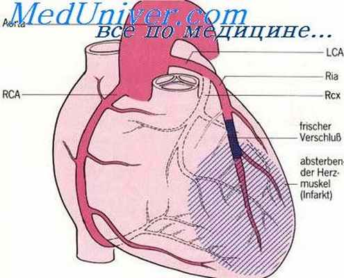 коронарный кровоток