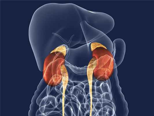 Опухоль надпочечников: симптомы и лечение