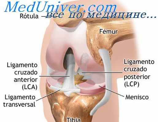 кожные покровы