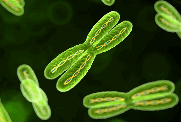 Нейрофиброматоз - симптомы, лечение, причины болезни, первые признаки