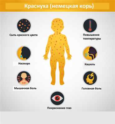 Симптомы краснухи.jpg