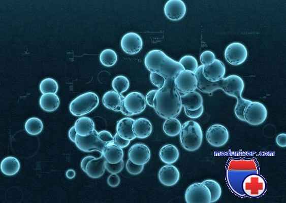 криптоспоридиоз