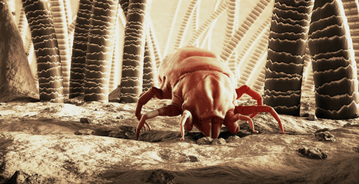 Фото - Круглогодичная аллергия. Как бороться с недугом?