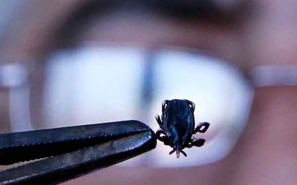 Фото:Валерий Матыцин / ТАСС