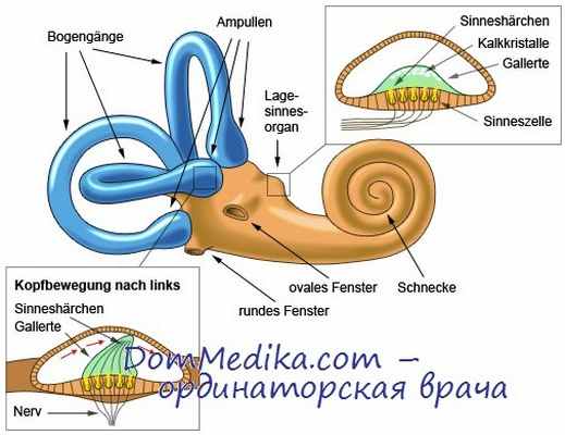 вестибулярные пробы