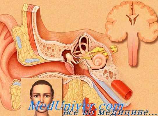 шейный рефлекс