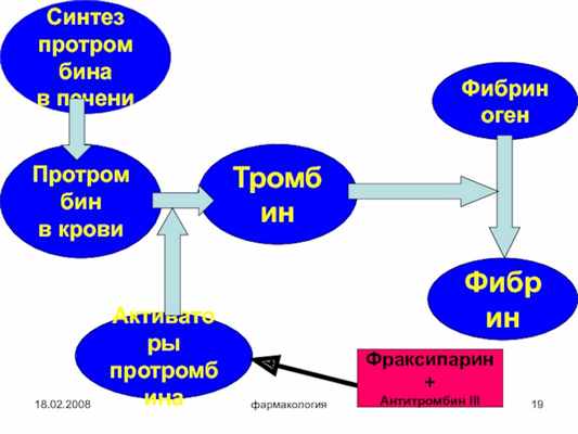 18.02.2008фармакологияСинтезпротромбина в печени ТромбинАктиваторы протромбинаФибриногенФибринПротромбин в кровиФраксипарин +Антитромбин III