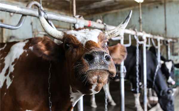 Фото: Екатерина Кузьмина / РБК