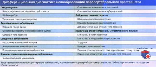 Введение в лучевую диагностику паравертебрального пространства: лучевая анатомия, методы исследования