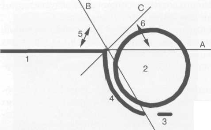 Схема измерения угла ос при УЗИ тазобедренных суставов.