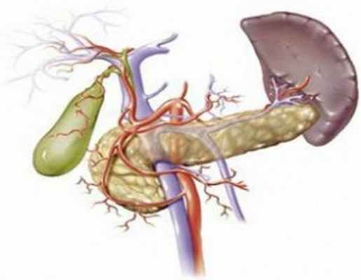 Лечение холангита - медцентр 