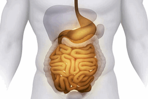 Мальабсорбция