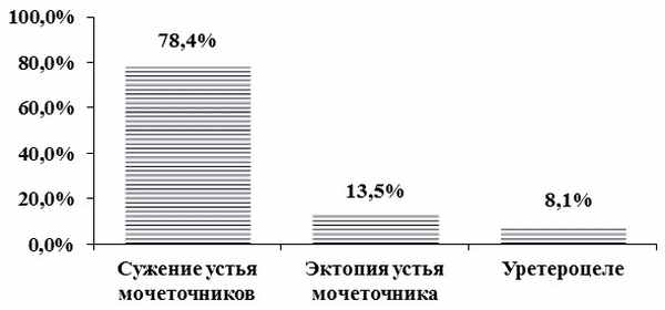 Рис 1. Распределение больных по характеру порока развития уретеровезикального сегмента
