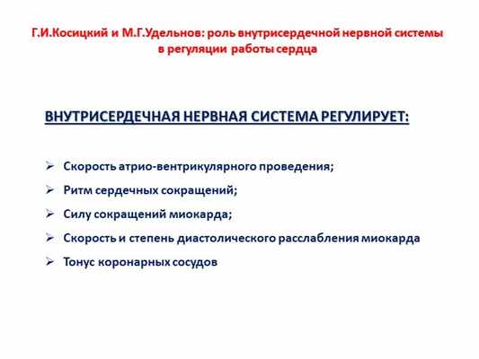 Г.И.Косицкий и М.Г.Удельнов: роль внутрисердечной нервной системы в регуляци. 