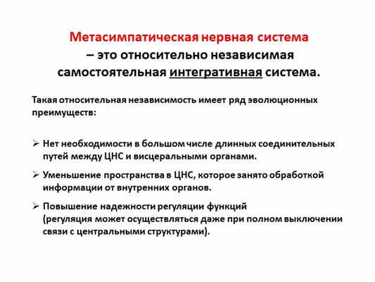 Метасимпатическая нервная система – это относительно независимая самостояте. 
