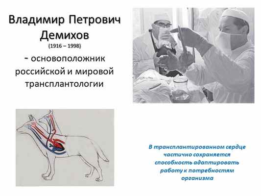 Владимир Петрович Демихов (1916 – 1998) - основоположник российской и миров. 