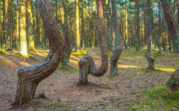 Фото:Руслан Шамуков / ТАСС