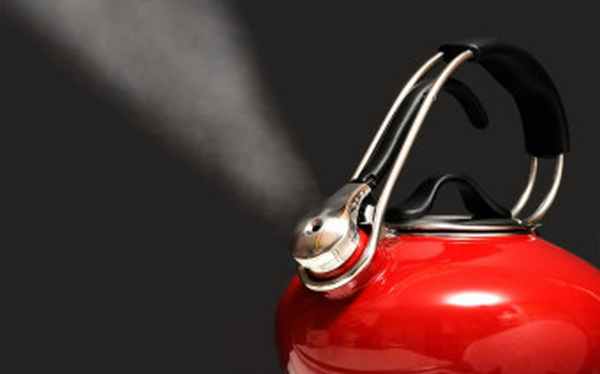 Фото:Shutterstock