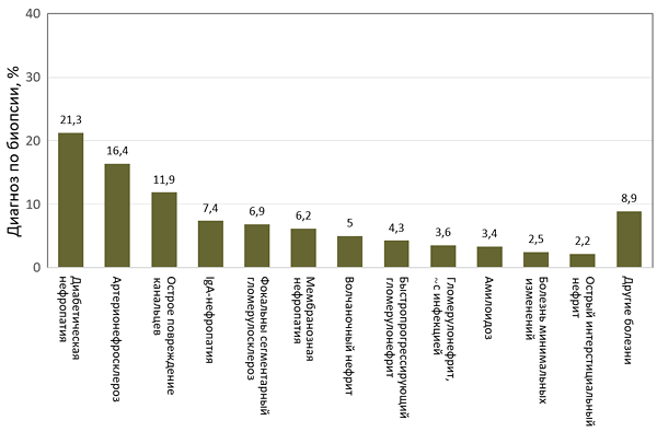 Диагнозы почечных болезней по биопсии