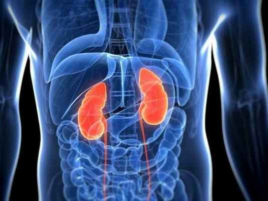 Мембранозная нефропатия