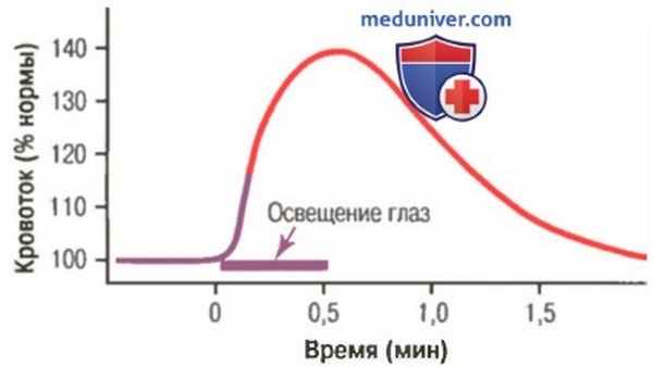 Регуляция мозгового кровотока. Саморегуляция мозгового кровотока