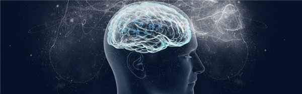 Вызванные потенциалы