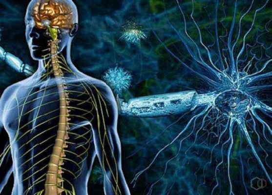 Рассеянный склероз: терапия в Москве. Московский городской центр рассеянного склероза