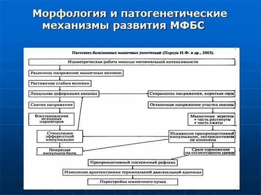 Морфология и патогенетические механизмы развития МФБС