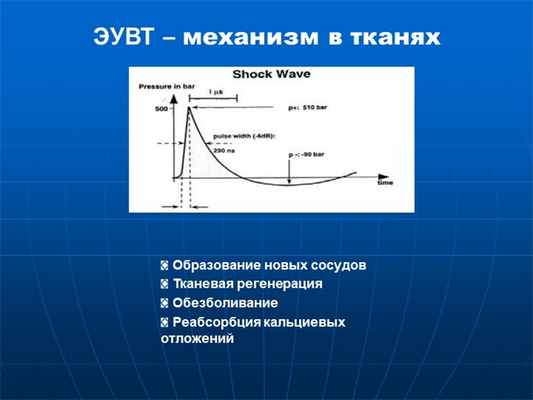 ЭУВТ – механизм в тканях Образование новых сосудов Тканевая регенерация Об. 